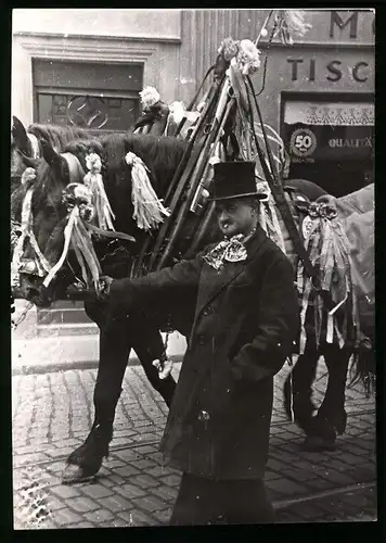 Fotografie Schostal, Wien, Ansicht Wien, Fasching - Karneval, Schwerfuhrwerkskutscher mit Festwagen 1939