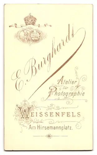 Fotografie E. Burghardt, Weissenfels, Am Hirsemannplatz, Bürgerliche Dame mit einem Büchlein