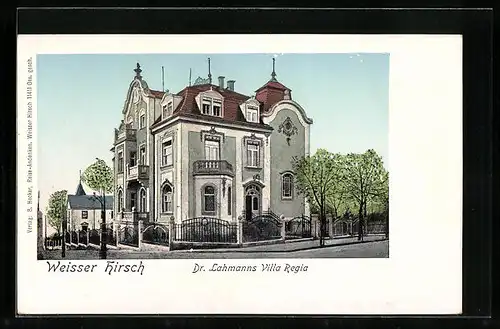 AK Dresden-Weisser Hirsch, Dr. Lahmanns Villa Regia mit Strassenpartie