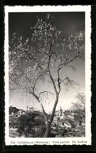 AK Valldemosa /Mallorca, Vista parcial