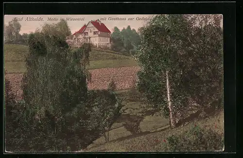 AK Bad Altheide, Wiesental mit Gasthaus zur Geduld