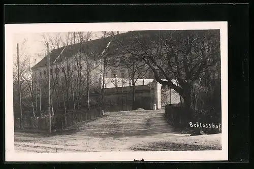 AK Engelhartstetten, Schloss Hof
