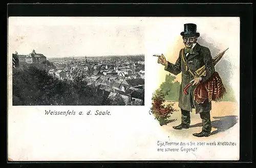 AK Weissenfels a. d. Saale, Ortsansicht aus der Vogelschau