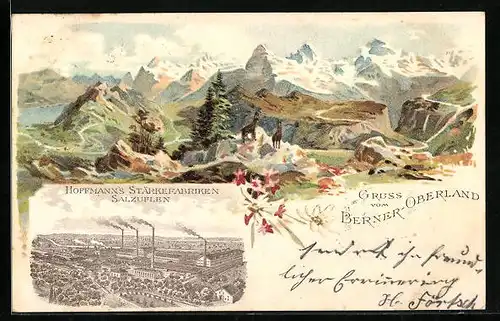 Lithographie Salzuflen, Berner Oberland, Hoffmann`s Stärkefabriken, Panorama