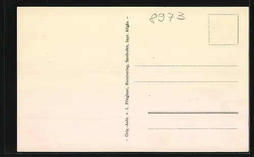 AK Hinterstein, Gasthof und Pension zum Steinadler, Totalansicht