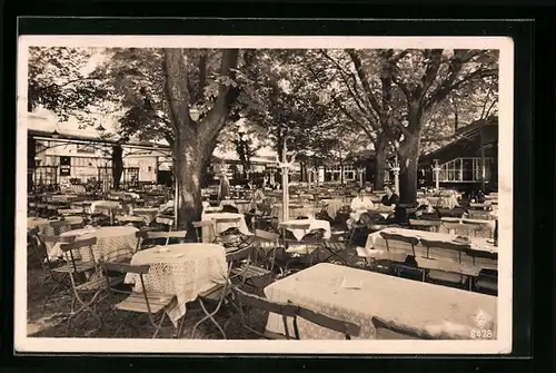 AK Konstanz, Gasthaus Engstlers Biergarten, Gartenansicht