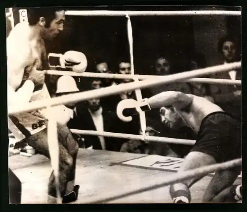 Fotografie Boxen & Boxkampf, Domenico Adinolfi schlägt seinen Gegner K.O.