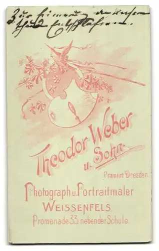 Fotografie Th. Weber & Sohn, Weissenfels, Promenade 33, Älterer Mann mit Zwicker und Vollbart