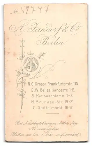 Fotografie A. Jandorf & Co., Berlin, Grosse Frankfurterstr. 113, Junger Herr im Anzug mit Fliege