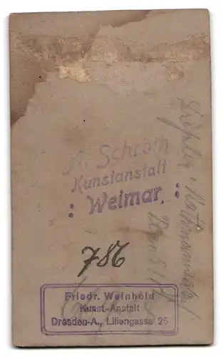 Fotografie W. Fichtner, Schandau a. E., Poststr. 31, Junger Herr im Anzug mit Fliege