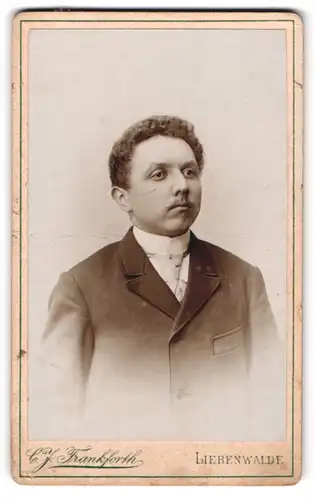 Fotografie C. J. Frankforth, Liebenwalde, Junger Herr im Anzug mit Krawatte