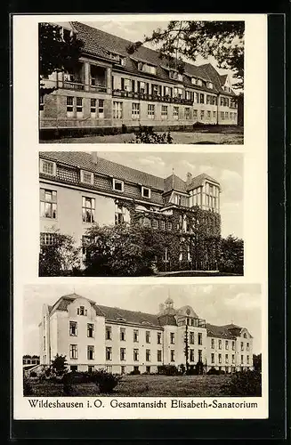 AK Wildeshausen i. O., Gesamtansicht Elisabeth-Sanatorium