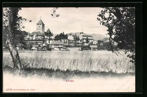 AK Spiez, Blick über See auf Ort