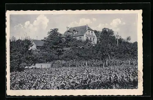 AK Seebach bei Bad Dürkheim, Kurhaus Johannisburg