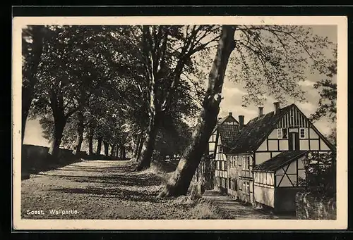 AK Soest, Wall mit Fachwerkhäusern