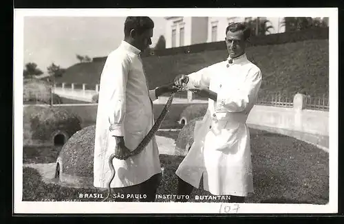 AK Sao Paulo, Instituto Butantan, Schlange wird gemolken