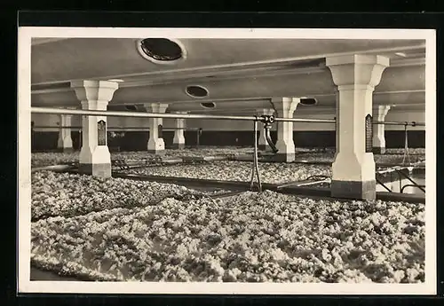 AK Rheinfelden, Brauerei Feldschlösschen, Gärkeller