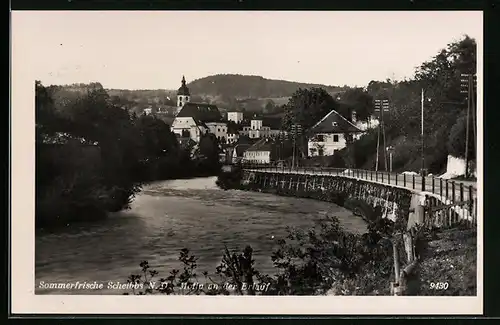 AK Scheibbs, Ortspartie mit Fluss Erlauf