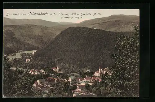 AK Weissenbach an der Triesting, Blick auf Schneeberg