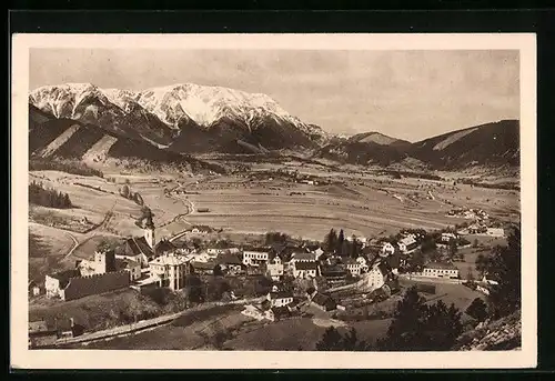 AK Puchberg am Schneeberg, Ortsansicht mit Berg