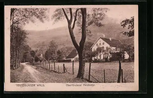 AK Heidental /Teutoburger Wald, Oberförsterei Heidental