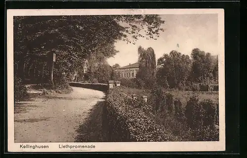 AK Kellinghusen, Liethpromenade mit Bäumen