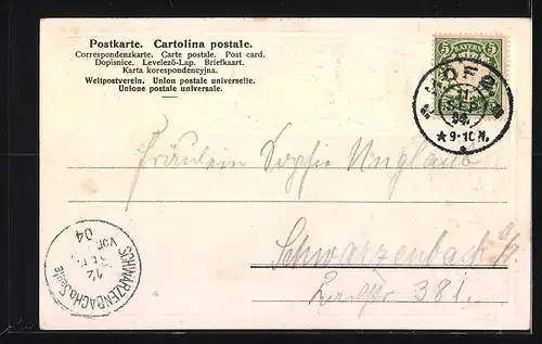 Präge-AK Hof, Gasthaus Aussichtsturm Theresienstein, Briefmarken, Wappen