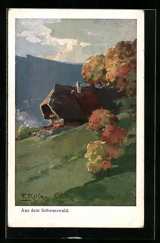 Künstler-AK Fritz Reiss: Ansicht aus dem Schwarzwald