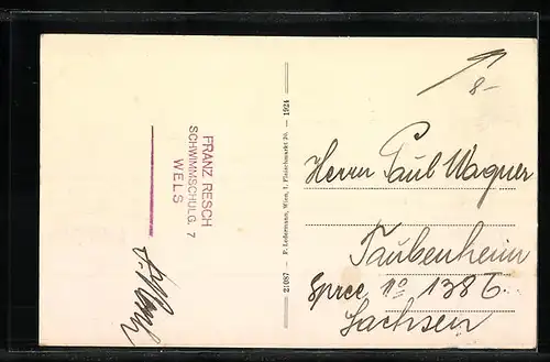 AK Wels, Gesamtansicht mit Marienwarte