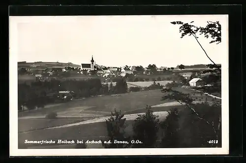 AK Haibach a. d. Donau, Ortsansicht aus der Ferne