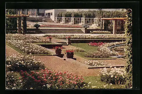 AK Essen, Gruga-Grosse Ruhrländische Gartenbau-Ausstellung 1929, Pergolagarten mit Rosenanlage und Rosencafè