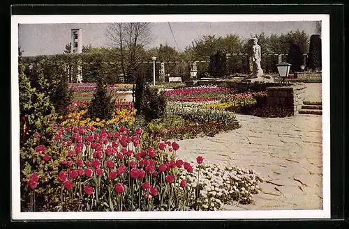 AK Essen, Grugapark, Gruga-Terrassen-Restaurant