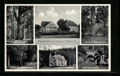 AK Rohrbrunn, Das Wirtshaus im Spessart, 100jähr. Eiche, Jagdschloss, Eingang zum Naturschutzpark