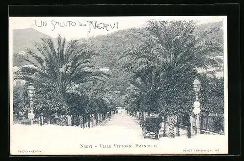 AK Nervi, Viale Vittorio Emanuele