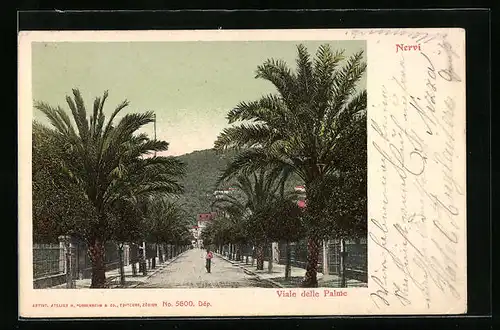 AK Nervi, Viale delle Palme