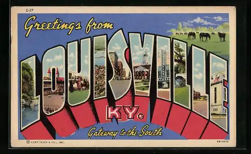 AK Louisville, KY, Pferde auf der Weide, Stadttotale, Strassenpartie, Court House