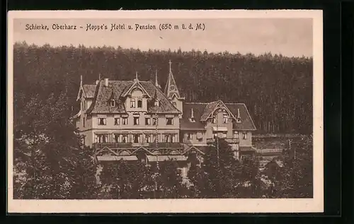 AK Schierke /Harz, Hoppes Hotel und Pension