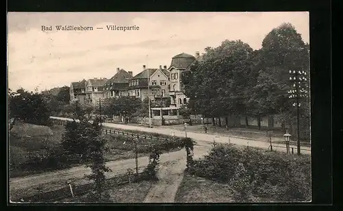 AK Bad Waldliesborn, Strassenpartie mit Villen aus der Vogelschau