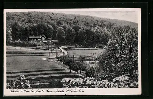 AK Höxter /Weserbergl., Sommerfrische Wilhelmshöhe