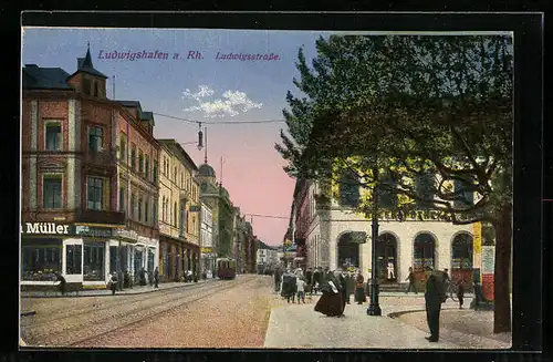 AK Ludwigshafen a. Rh., Ludwigsstrasse mit Geschäften und Strassenbahn