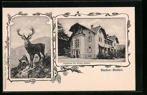 AK Baden-Baden, Jagdhaus, Hirsche