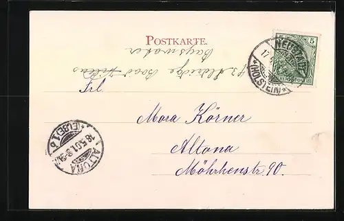 AK Neustadt /Holst., Teilansicht mit Brücke aus der Vogelschau