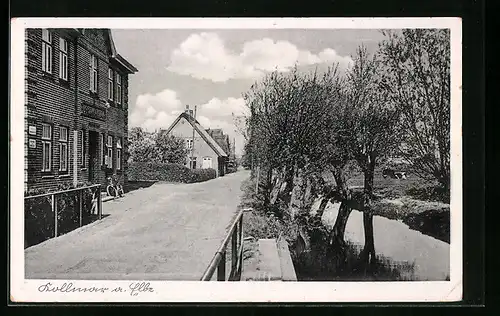 AK Kollmar /Elbe, Strassenpartie mit Kanal