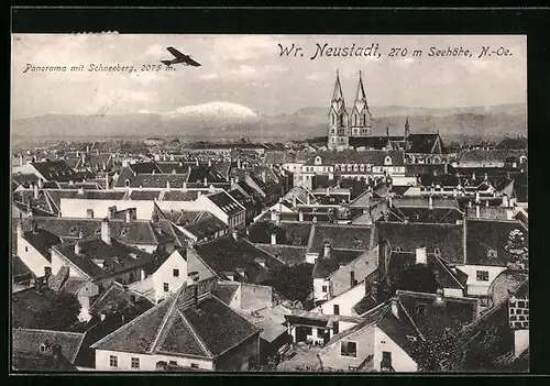 AK Wr. Neustadt, Blick über die Dächer der Stadt mit dem Schneeberg im Hintergrund