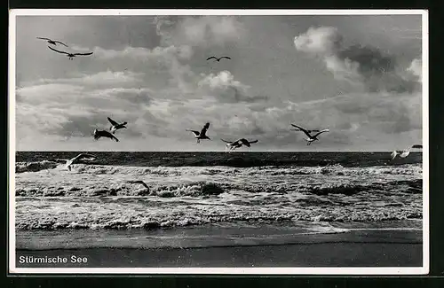 AK Rauschen, Blick auf die Stürmische Ostsee