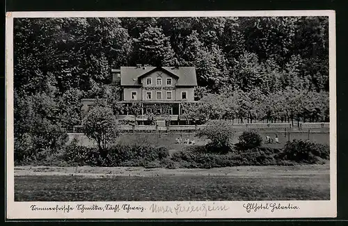 AK Schmilka, auf den Wiesen vor dem Fremdenhof Elbhotel Helvetia