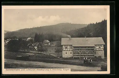 AK Hirschsprung b. Altenberg i. Erzgeb., an der Sommerfrische mit Blick ins Tal