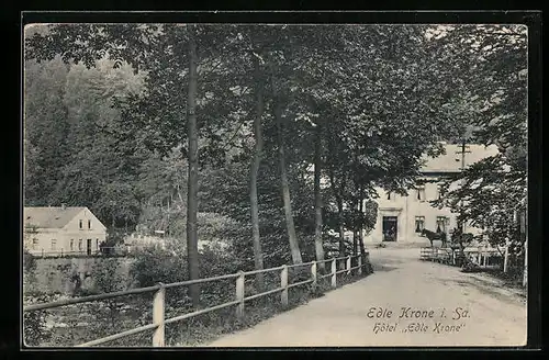 AK Edle Krone i. Sa., Reiter zu Pferd vor dem Hotel Edle Krone