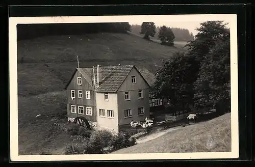 AK Frauenwald a. Rstg., Blick auf die Fraubachmühle