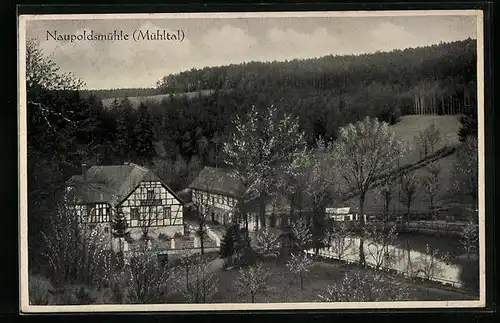 AK Mühltal bei Eisenberg i. Thür., am Waldhaus Naupoldsmühle